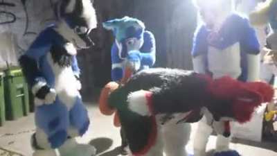 fursed_spinner