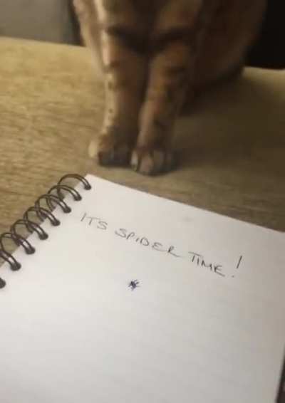 I kill you!
