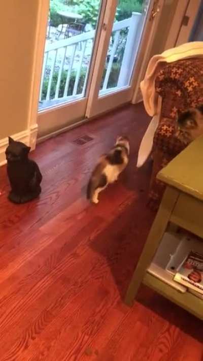 Scary fake cat
