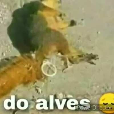 Esse v&iacute;deo me d&aacute; um sensa&ccedil;&atilde;o estranha mas ainda &eacute; engra&ccedil;ado