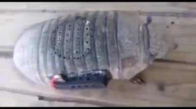 Armadillo