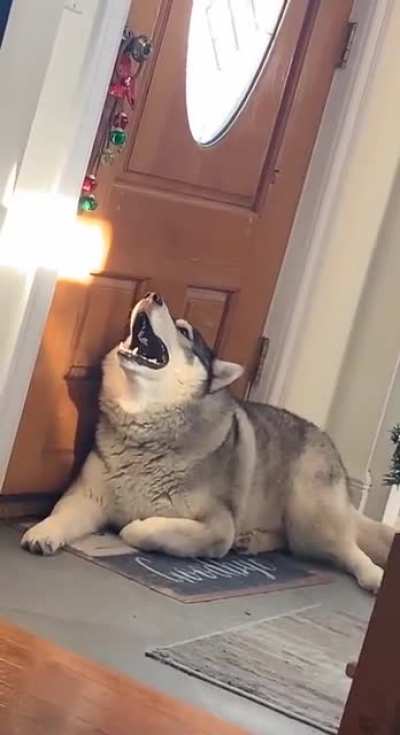 I don't know what he wants...!!
