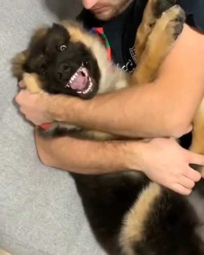 Любовь это...
