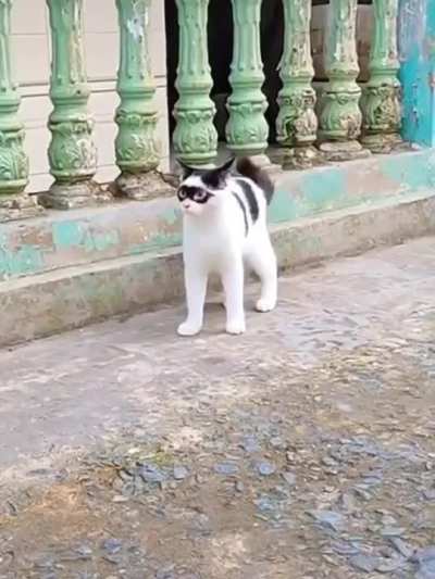 Destined to be a criminal