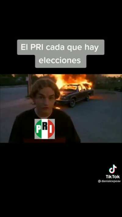 Voto &uacute;til le dicen