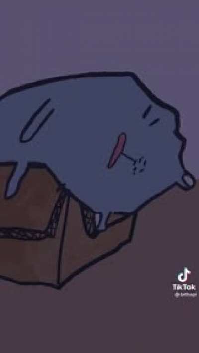 Cats at three am