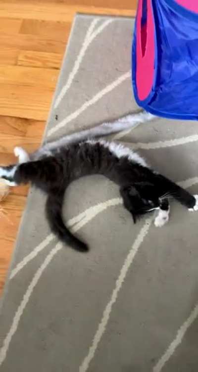 Is it a still big stretch if she&rsquo;s this little?