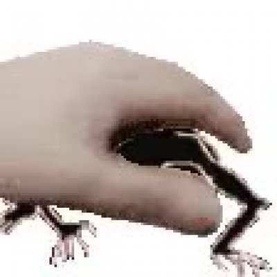 Pet the demon