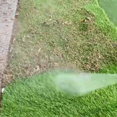 give the lawn a bath