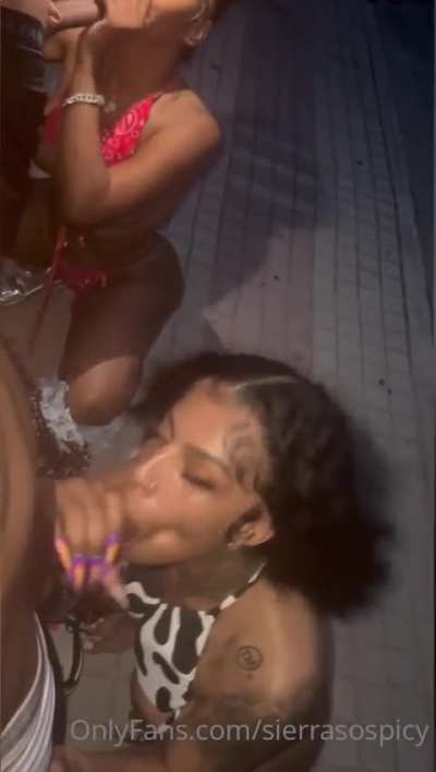 Sierra X Paris
