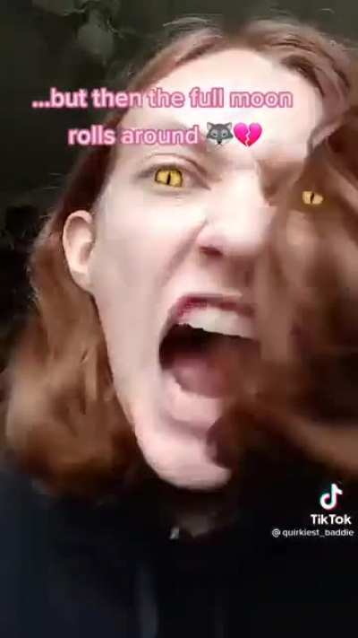 Why did she think this was a good idea?