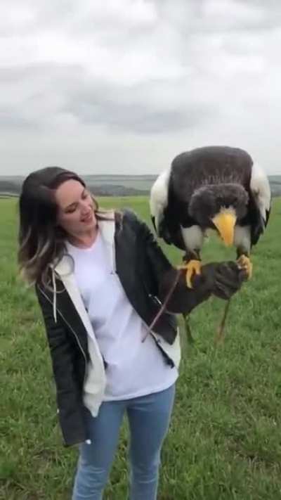 Absolute unit of a bird