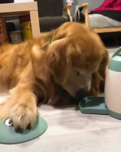smart boy