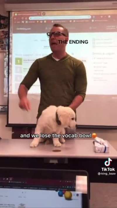 Buck the Vocab Dog