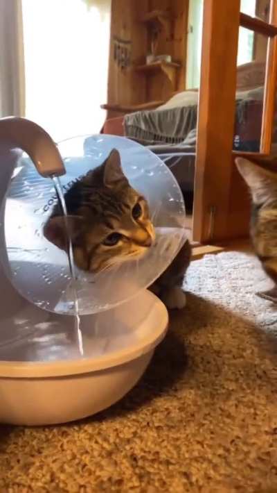 Little dude got handled TWICE in one day