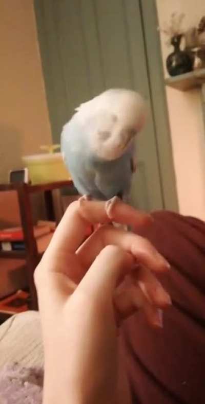 Gimme kiss... Stinky... AAA