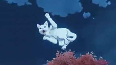 Im sorry kitty