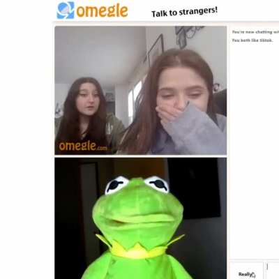 How&rsquo;s miss piggy?