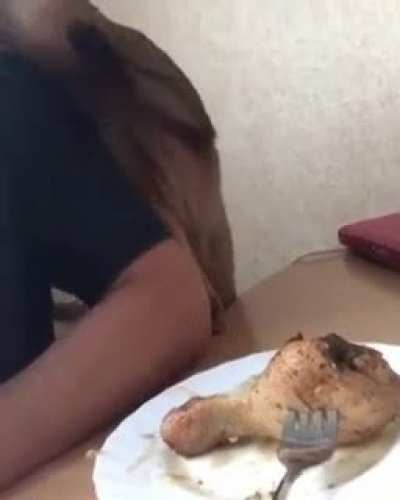 touch tha chicken
