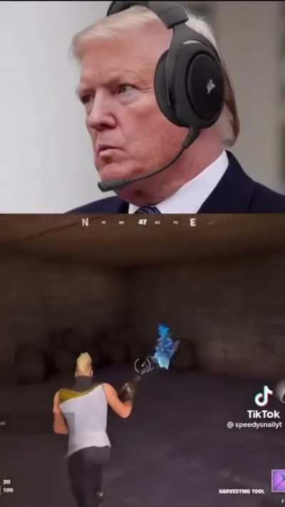 shitposting - Video #4524