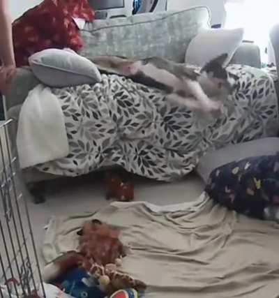 When you're so tired you immediate go back to sleep