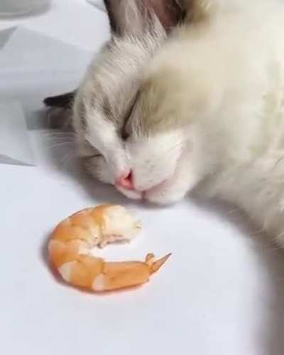 "I was just dreaming of this!"