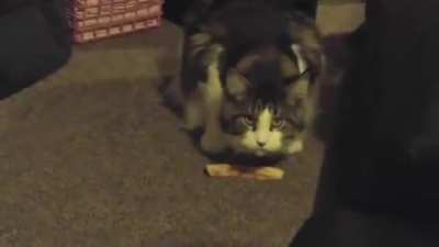 At least someone likes the crust&hellip;