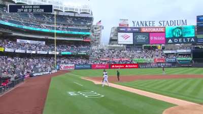 Aaron Judge hits his 4th homer in his last 5 at bats for his 28th of the season