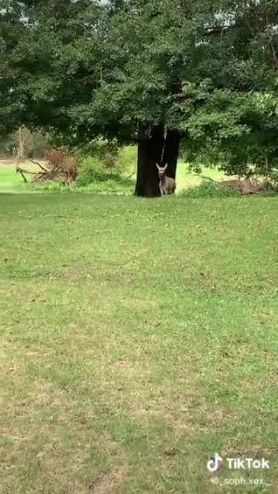 These two have a very special bond