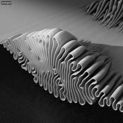 growth waves