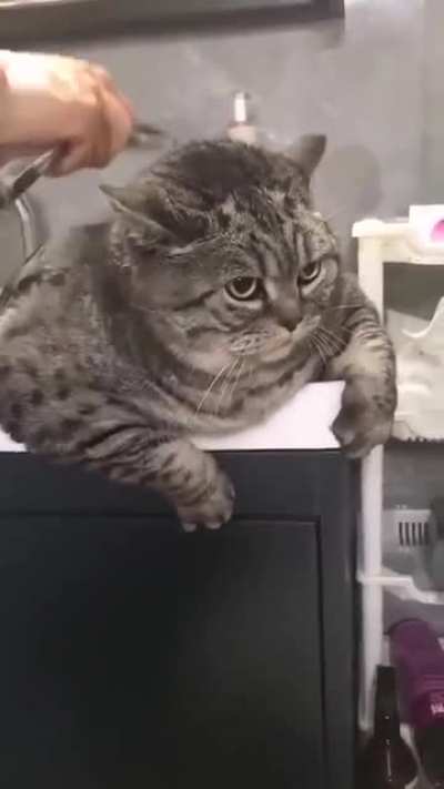 "Oh come on, Natasha. Are you done?"