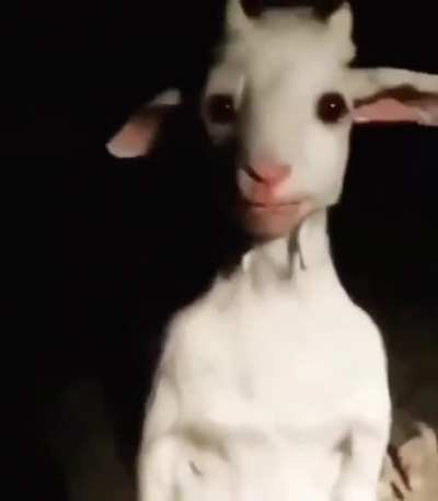 hmmm