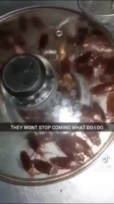 Blursed_I have problem
