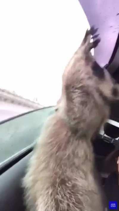 Wait!! Slow Down!! I Wanna Take This Things.