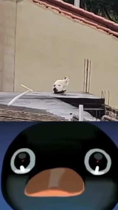 hmmmmmmm