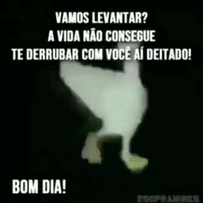 Bom dia
