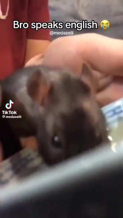 ð