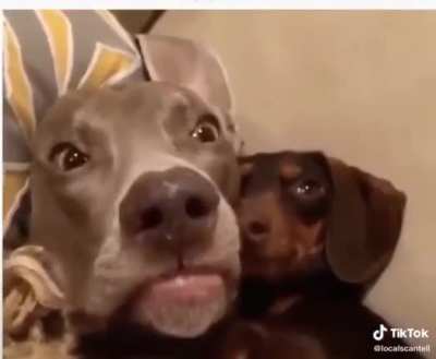 When you wake up and you don&rsquo;t remember what happened last night
