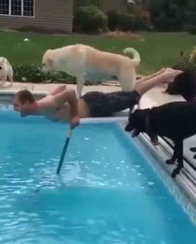 Let me help, human