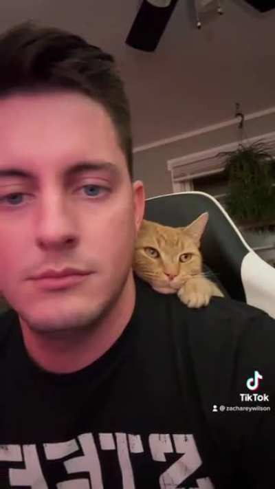 My farm kitty Cosmo doesn&rsquo;t know what boundaries are. He is staying inside for the winter nights and apparently thinks I&rsquo;m a tree.