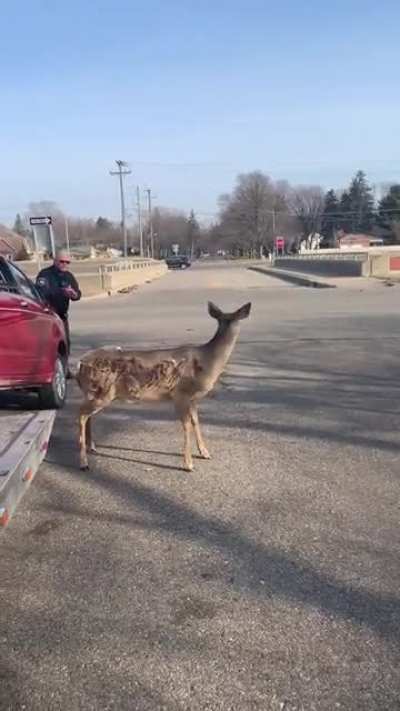 Sir, you can&rsquo;t park here.
