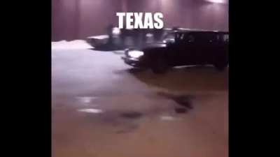 text ass