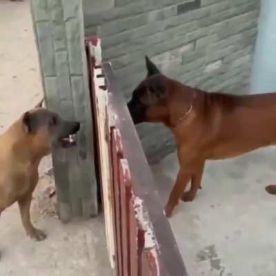 Debating online vs Real life .