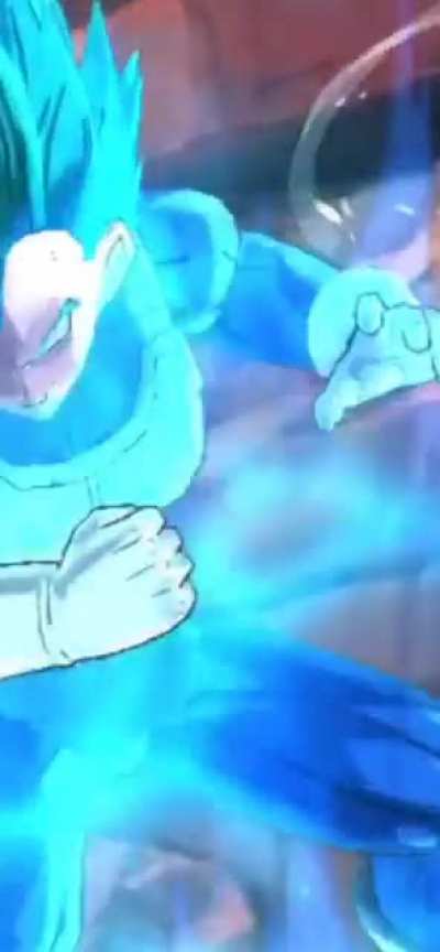 Goku &amp;amp; Vegeta Vs Vegito Black - Dragon Ball Legends Legacy