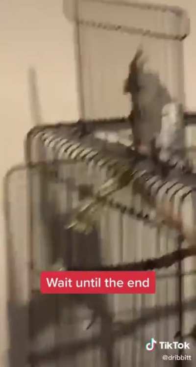 You&rsquo;re gonna fall!