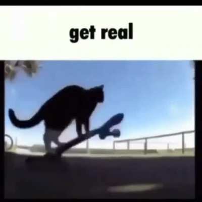 rule