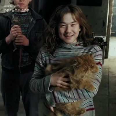 You're a wizard Yagoo