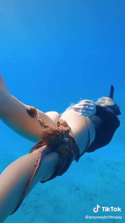 The octopus knows what&rsquo;s up