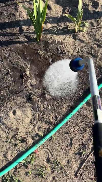 Can someone explain why I can’t water my soil?