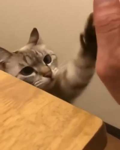 High five